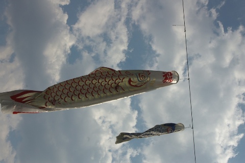 鯉のぼり 2007/05/07-2